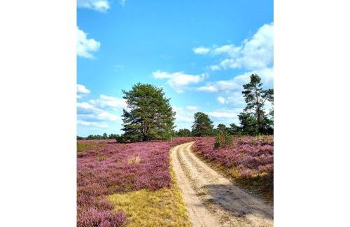Ferienwohnung am Heidesee - Foto 18