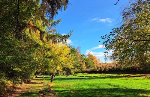 Steewer Landhaus gemütliche Ferienwohnung bis 6 Pers in ruhiger Ortsrandlage - Foto 58