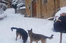 Casa Rural La Vinyeta - Foto 25