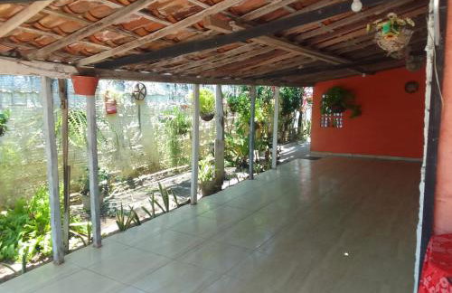 Flor de cacto - Foto 22