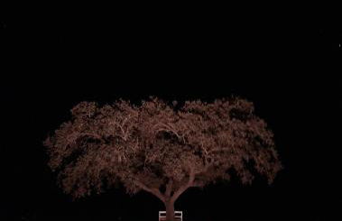 Monte da Figueira - Foto 34