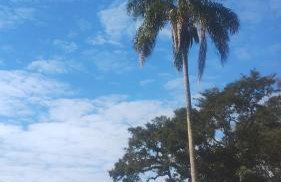 Casa de campo - Foto 31