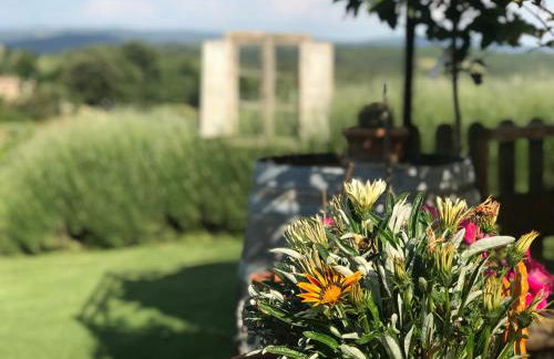 Borgo San Gusmè - Foto 8