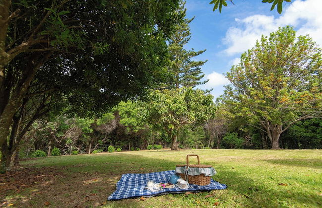 Lavendula Garden Cottage - Foto 33