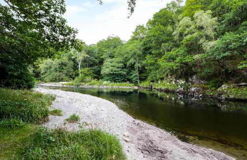 Hen Gelligemlyn - The Annexe - Foto 22