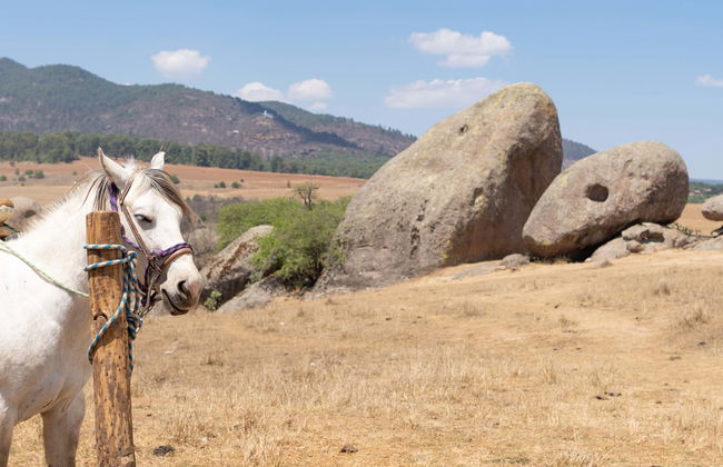 Paseo a caballo por la Sierra de Santa Rosa - Foto 1