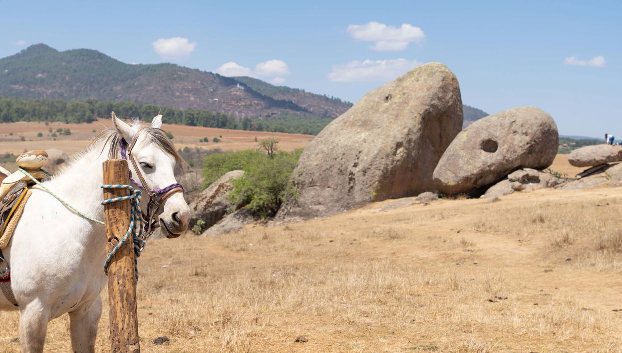 Paseo a caballo por la Sierra de Santa Rosa