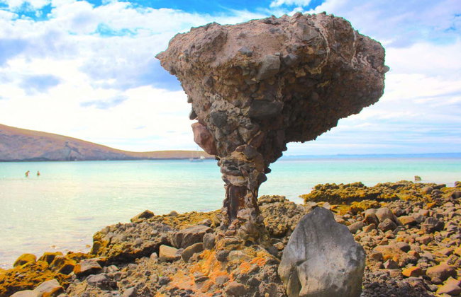 Tour di La Paz e della spiaggia Balandra - Foto 7
