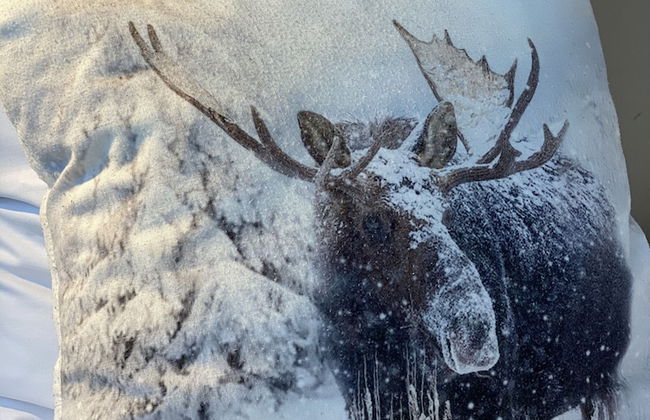 Aakenus Apartments - Photo 6