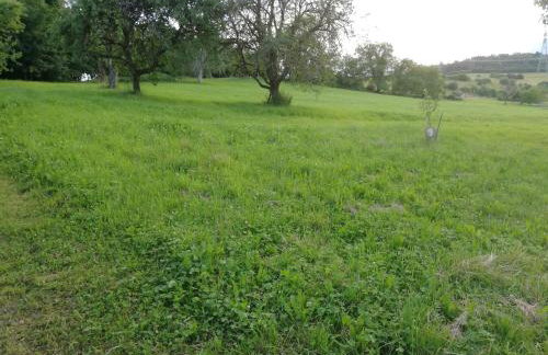 Ferienwohnung Josefa Ganter 80qm - Foto 19