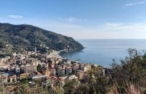 azienda agricola zulin casa elena - Foto 38