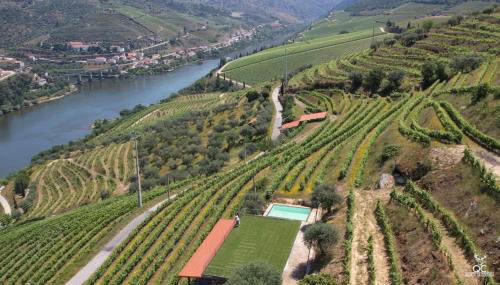 Quinta da Coitada - Alojamento Local - Foto 2