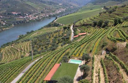 Quinta da Coitada - Alojamento Local - Foto 2