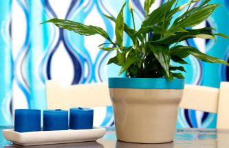 Azienda Agrituristica e Didattica CrauNari - Foto 45