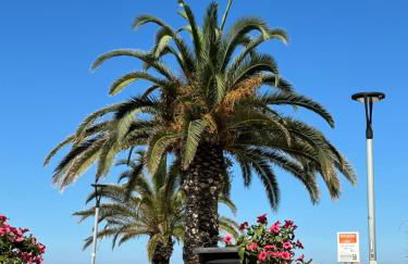 Alessandra House - Foto 11