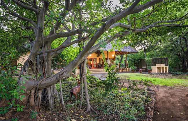 Bush Villa at Kruger Park Entrance - Foto 14