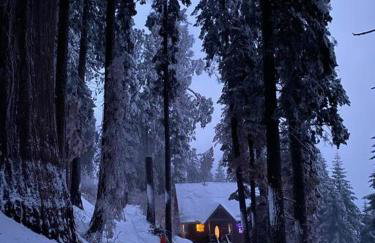 Sweet getaway in private Giant Sequoia Grove! - Foto 13