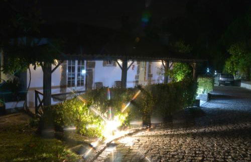 Quinta de S. Vicente 317 - Foto 43