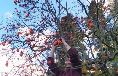 Masia Sagués - Foto 39