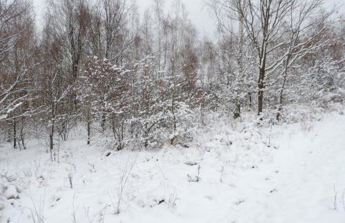 Pod Miotełką - Foto 5