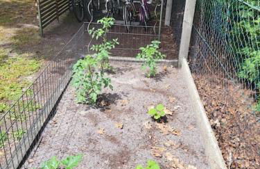 La petite Landaise - Foto 20