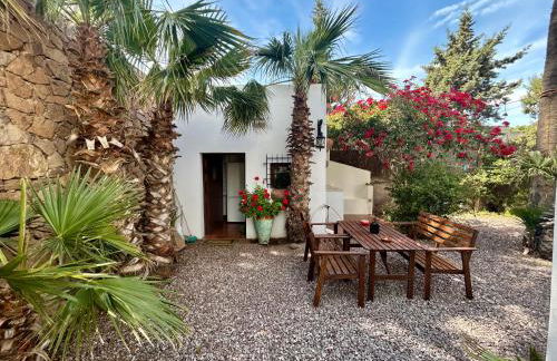 La Washingtonia - Foto 2