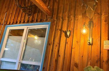 Igły i szyszki - Foto 29