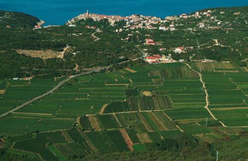 Oak Meadow Apartment - Photo 34