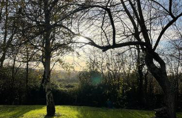 Villa M St Arnoult - Foto 37