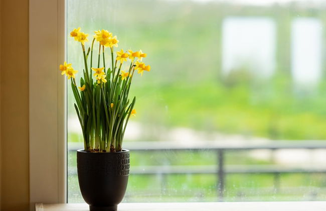 Il Podere di Marfisa - Foto 51