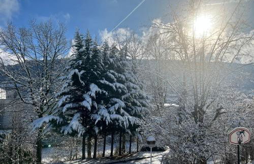 Confort appart - Foto 17