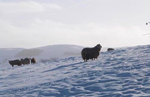 126 Main Street - Foto 23