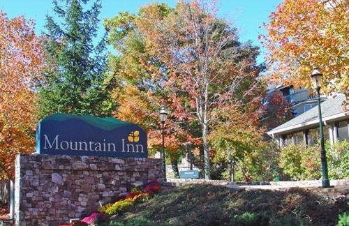 Mountain Inn Lodge 55 with Wintergreen Advantage - Foto 8