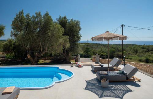 Tree of Life - Foto 8