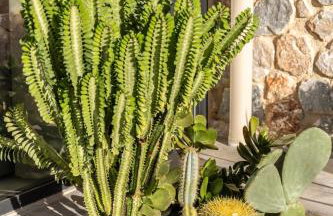 Norte Luxury Villas - Foto 67