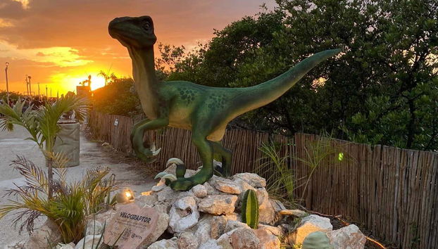 Une activité parfaite à faire en famille