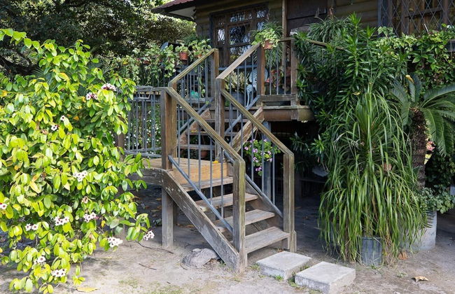 Quinta Pavo Real Complex by Acomodo - Photo 30