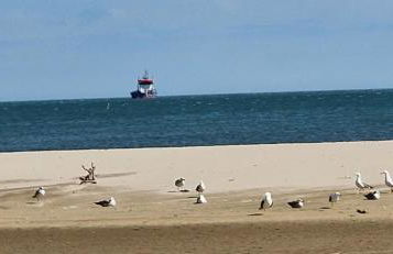 Le Mieukerien - Réserve africaine 15 mn - Plage 200 m - Foto 33