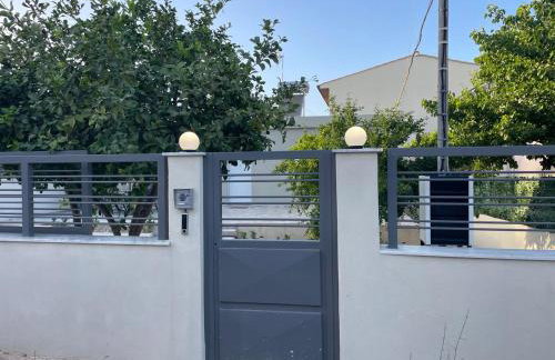 Limone d'oro - Foto 22