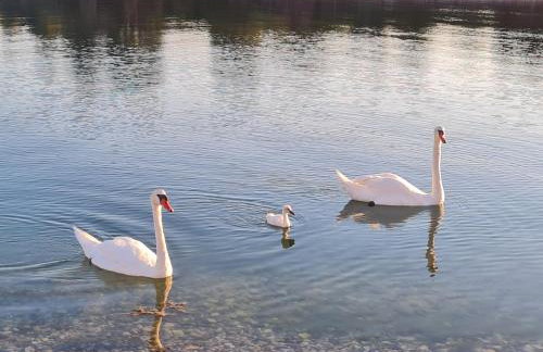 Lakeview Sunset Terrace - Foto 41