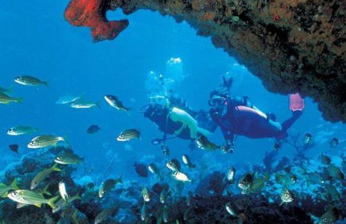 Vila Branca - Foto 35