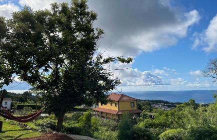 Biscoitos Top View - Photo 9