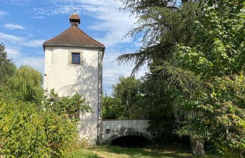 Historic Castle With Pool Near Vichy - Foto 22