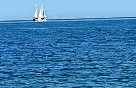 Appartement dans les jardins tropicaux - Photo 17