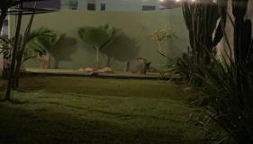 Blue House Casa de temporada no brejo - Foto 4