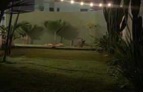 Blue House Casa de temporada no brejo - Photo 4