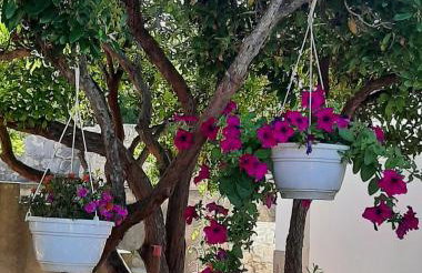 Kuća za odmor Neva - Foto 39