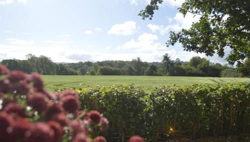 Lavender Lodge - Foto 2