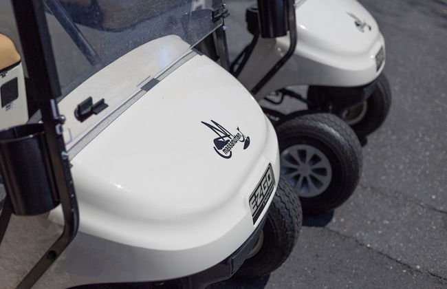 Massanutten's Regal Vistas by Tripforth - Foto 44