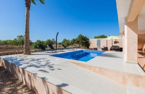 Short De Son Fideu - Foto 4